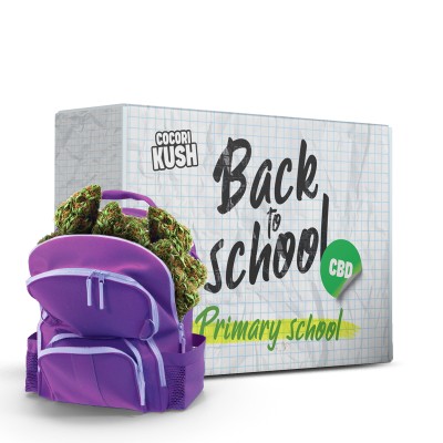 Pack rentrée CBD Pack rentrée CBD