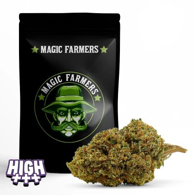 MISTER NICE 10-OH-HHC+ 30%