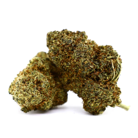 Cheetah Piss – Fleur premium aux arômes citronnés et gourmands