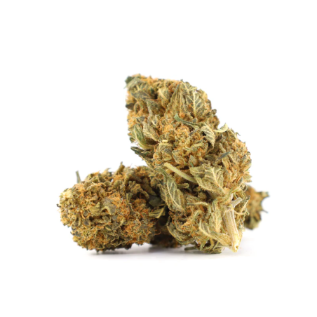 Cheesy Cream 21 % THCA | Fleur crémeuse & relaxante
