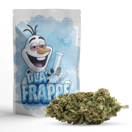 OLA' FRAPPÉ CBD – Fleur CBD fraîche eucalyptus & boisé