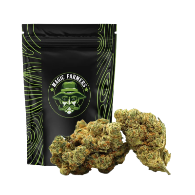 CHAMPAGNE HAZE 36% THCA HYDRO