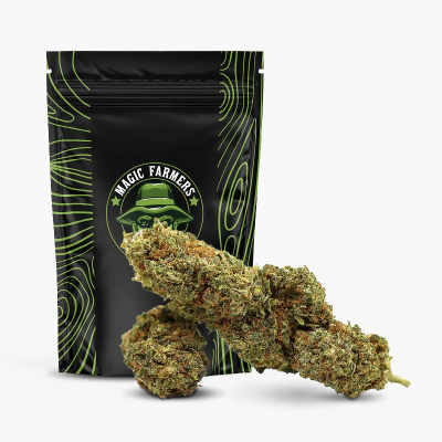 JEALOUSY 35% THCA HYDRO