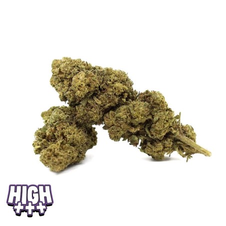 Bruce Banner OG 50% Magic Sauce | Fleur CBD Puissante
