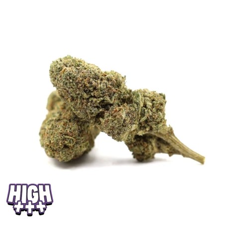 Permanent Marker 50 % MAGIC SAUCE | Fleur CBD Puissante Cocorikush