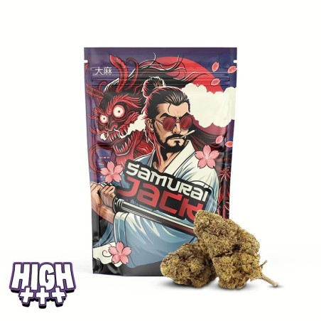 Samourai Jack 30 % MAGIC SAUCE – Fleur ultra stimulante et profil vif