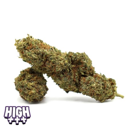 High Pepito 30 % Magic Sauce – Alternative THC légale puissante
