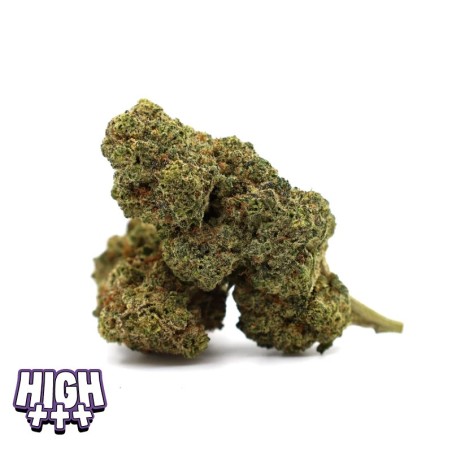 Khalifa Kush Magic Sauce – Fleur puissante alternative THC légale