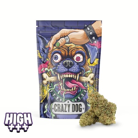Crazy Dog 30 % Magic Sauce – Fleur skunk puissante et intense