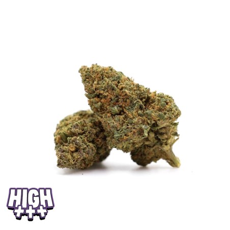 Crazy Dog 30 % Magic Sauce – Fleur skunk puissante et intense