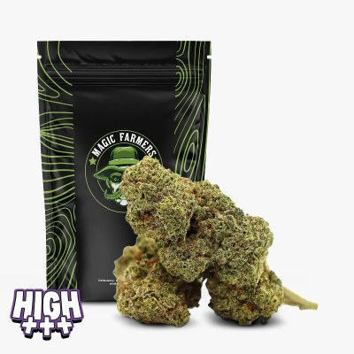 GAZ CANDY 36% THCA HYDRO