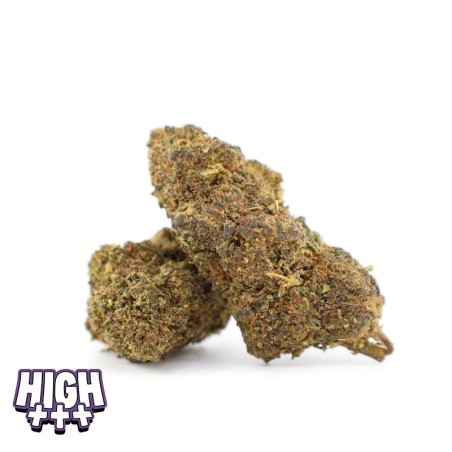 Grape & Cream 35 % THCA – Kraftvolle und köstliche THCA-Blüte | Cocorikush