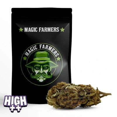 ALASKAN THUNDER FUCK...