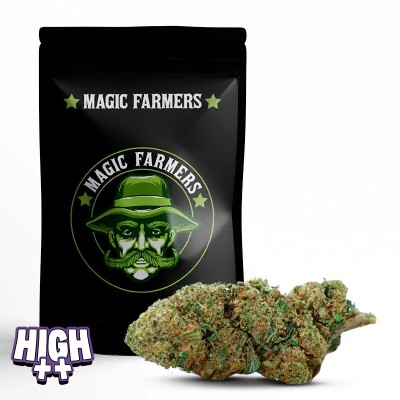 SUGAR CREAM 10-OH-HHC +30%