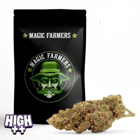 10-OH-HHC AUSSI PUISSANT QUE LE HHC | FLEUR WEEDY WONKA
