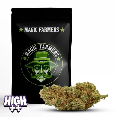 HOT SAIGNON 10-OH-HHC +30%