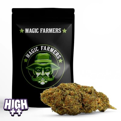 MIMOSA 10-OH-HHC+ 30%