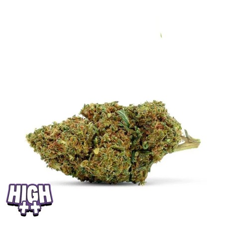 FLEUR 10-OH-HHC 30% | EFFETS PUISSANTS