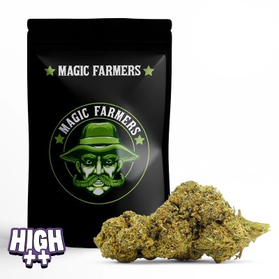 EARLY GIRL 10-OH-HHC+ 30%