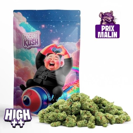 LE MEILLEUR REMPLACANT DU THCP | KIM JUNG KUSH HEC-10