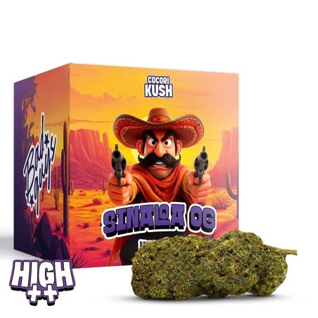 Sinaloa OG HEC-10 | Fleur intense & boisée – Alternative légale au HHC