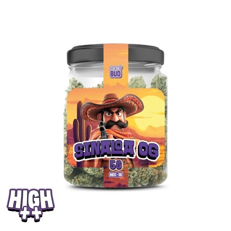 Sinaloa OG HEC-10 | Fleur intense & boisée – Alternative légale au HHC