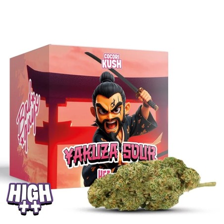 Yakuza Sour HEC-10 – Puissance et arômes acidulés - 100% légal