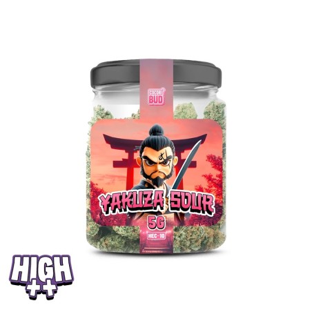 Yakuza Sour HEC-10 – Puissance et arômes acidulés - 100% légal