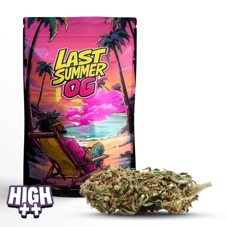 LAST SUMMER OG 10-OH-HHC 25 g – Saveurs d’été douces et effet puissant