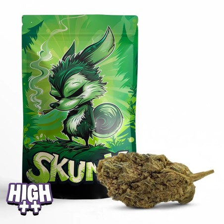 Skunk #1 10-OH-HHC | Fleur puissante aux arômes boisés & fruits rouges