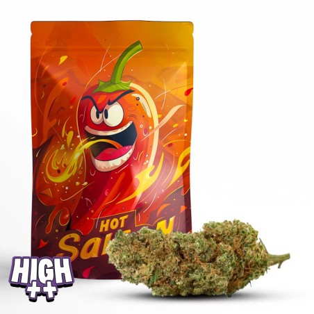 Hot Saigon 10-OH-HHC + 30% fleur HHC puissante boisée résine pin