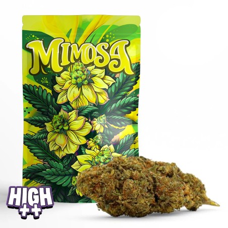 ACHETER 10-HO-HHC PAS CHER | FLEUR MIMOSA