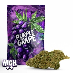 Purple Grape 10-OH-HHC, Traubengeschmack, intensive Wirkung,