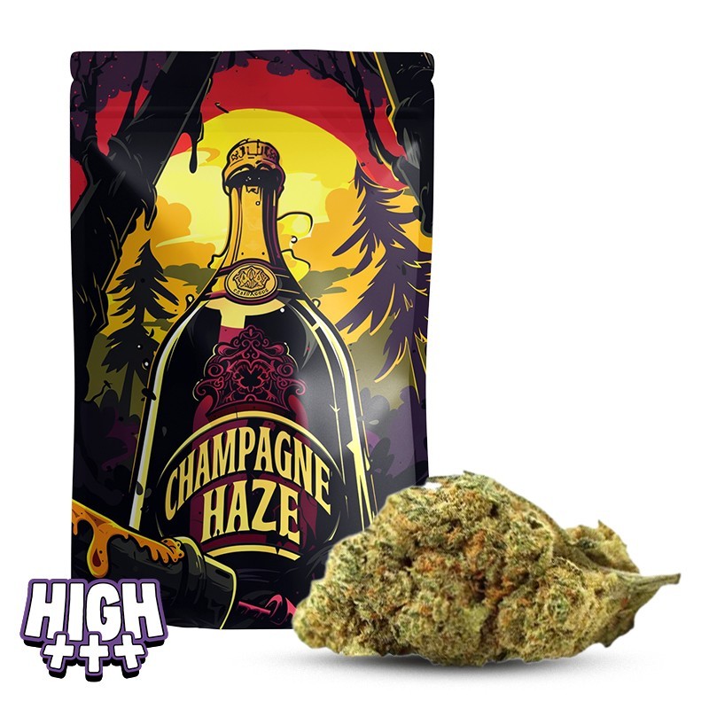Champagne Haze 36 % THCA | Spritzige und kraftvolle Premium-Blüte