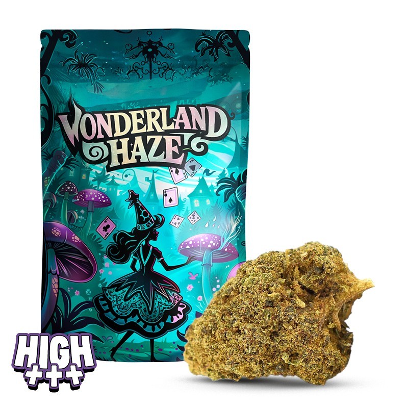 Wonderland Haze 21 % THCA | Immersive und entspannende Haze-Blüte