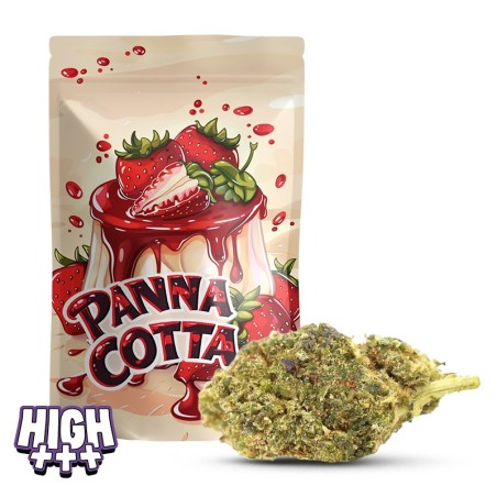Panna Cotta 34 % THCA | Fleur ultra puissante miel & mangue