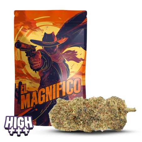 El Magnifico 35 % THCA | Fleur fraîche eucalyptus & menthol