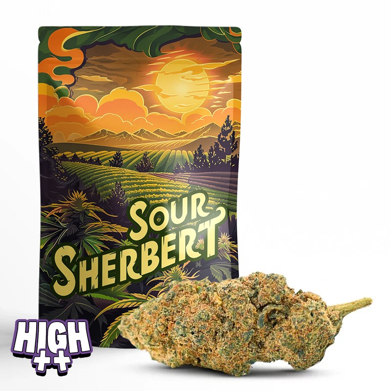 Sour Sherbert 10-OH-HHC 30 %, legale HHC-Blüte, starke Wirkung