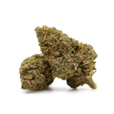 Gelato 41 40 % THCA – Hochkonzentrierte, köstliche Premium-Blüte