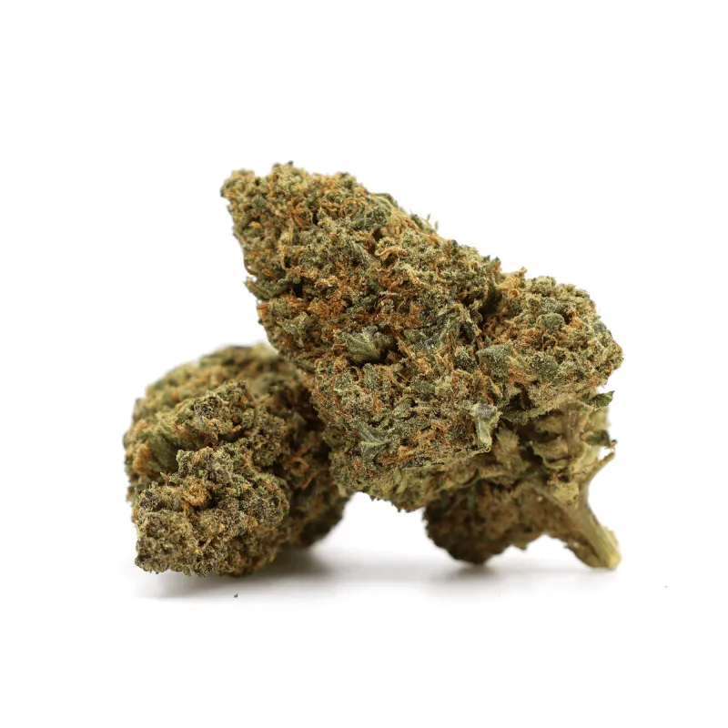 Gelato 41 40 % THCA – Hochkonzentrierte, köstliche Premium-Blüte