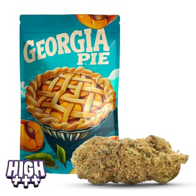 Georgia Pie THCA – Köstliche Blüte mit Pfirsichnoten