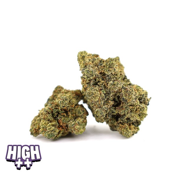 Elon Dream HEC-10 – Kraftvolle und legale HEC-10-Blüte mit Erdbeer- und Orangenaroma