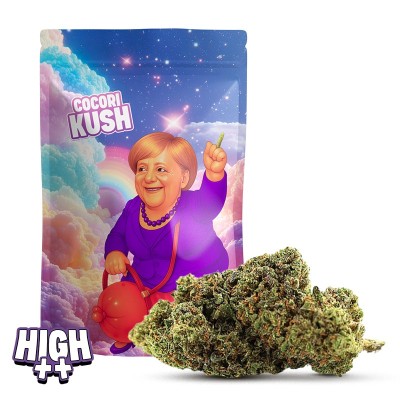 MERKEL CREAM HEC-10 – Kraftvolle Blüte mit frischem, cremigem Profil