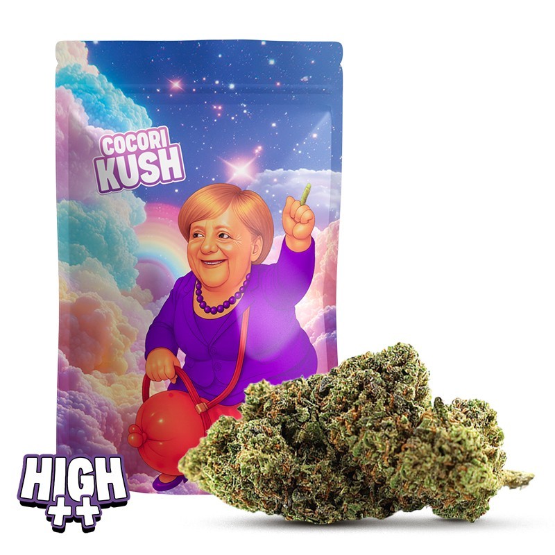 MERKEL CREAM HEC-10 – Kraftvolle Blüte mit frischem, cremigem Profil