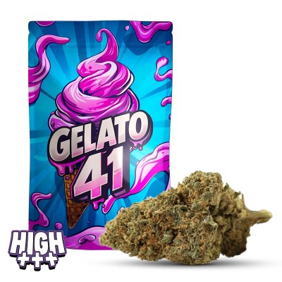 Gelato 41 40 % THCA – Fleur premium ultra concentrée et gourmande