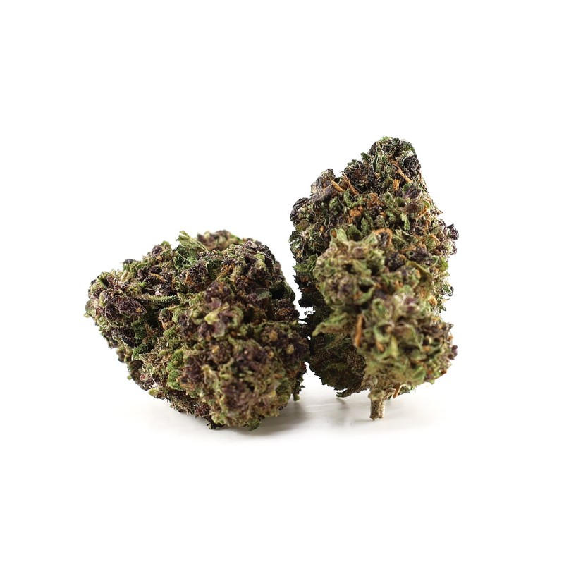 Purple Grape 10-OH-HHC+ 30% Indoor – Magic Farmers | Fleur Sativa Raisin