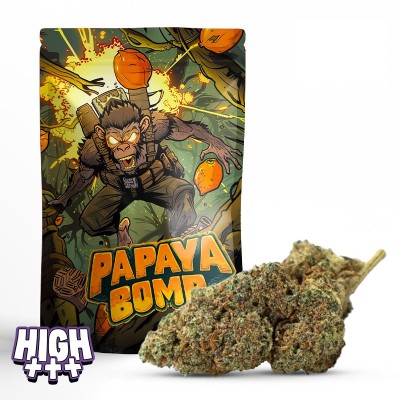 Papaya Bomb 42% THCA – Fleur THCA tropicale puissante et ultra fruitée