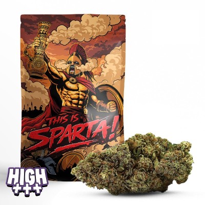 Fleur Magic Sauce 50 % “This is Sparta!” – Puissance Mentholée & Effets Intenses