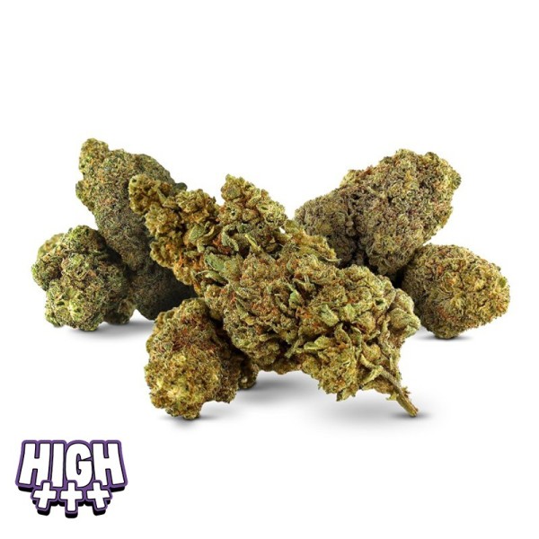 Destock Mix Magic Sauce – Mix de fleurs enrichies puissant