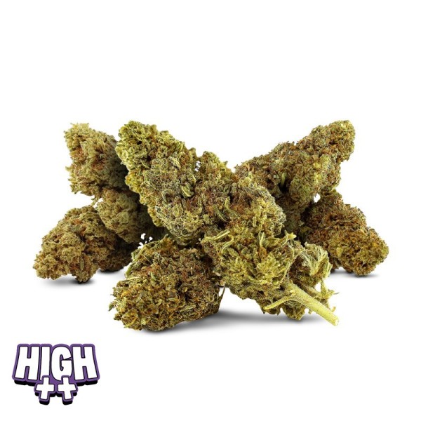 Destock Mix 10-OH-HHC – Mix de fleurs aux arômes boisés à prix accessible